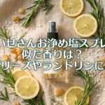 おいせさんお浄め塩スプレー00